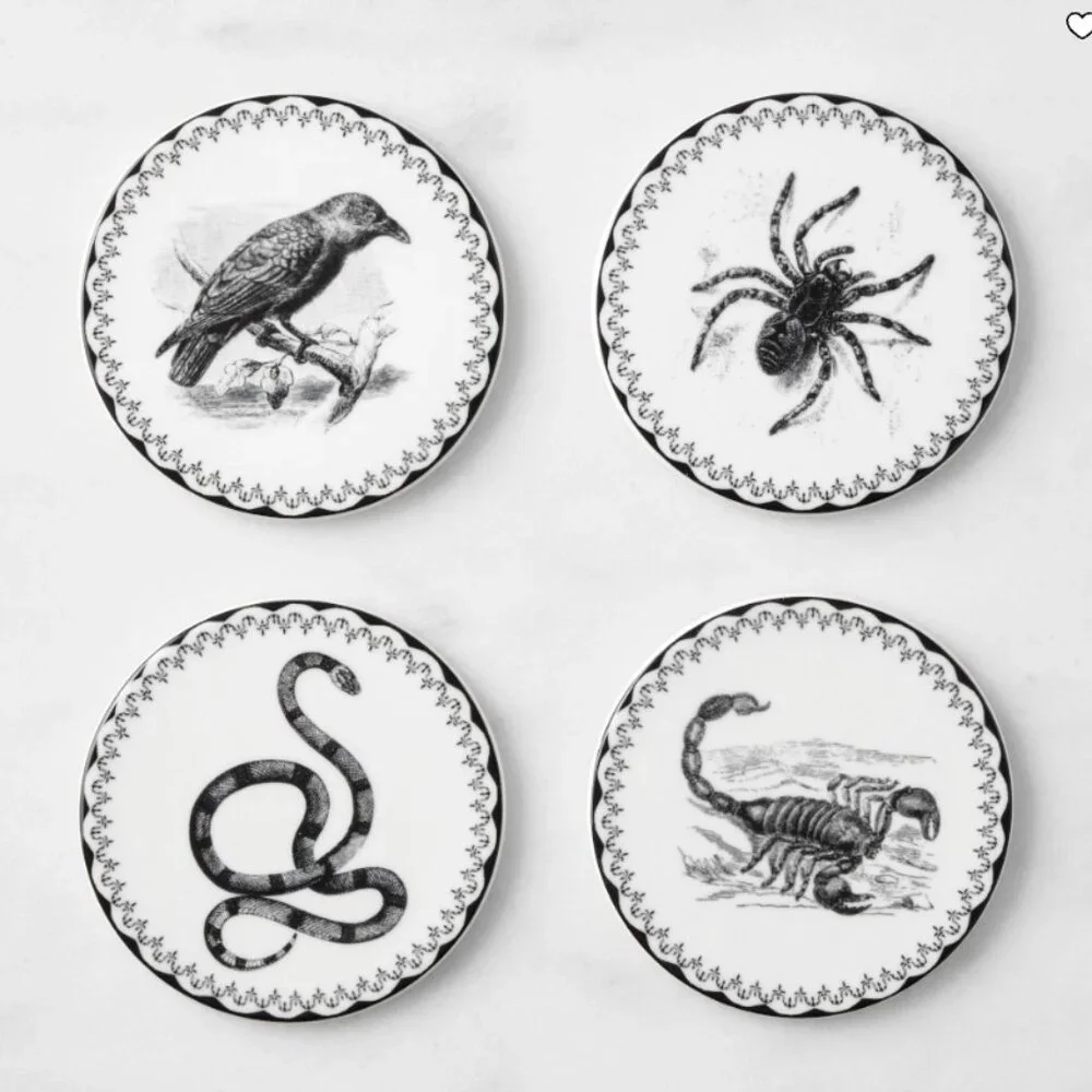 Williams Sonoma Spooky Soirée Coasters, Set of 4